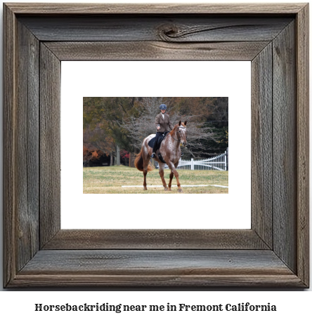 horseback riding near me in Fremont, California